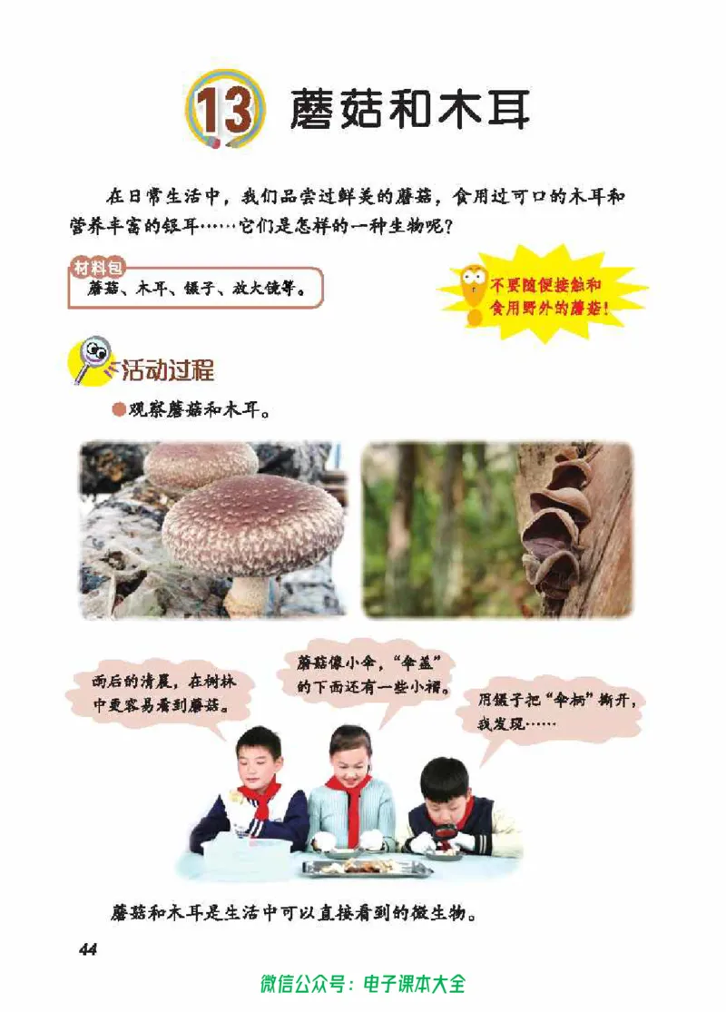 五制五上教材_电子课本_小学电子课本_05科学_青岛版（63、54版）_小学科学青岛五四制1-5上册