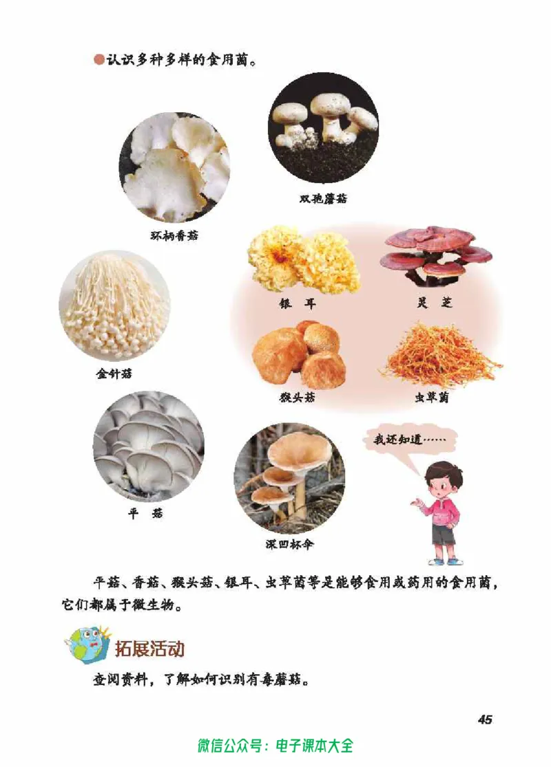 五制五上教材_电子课本_小学电子课本_05科学_青岛版（63、54版）_小学科学青岛五四制1-5上册