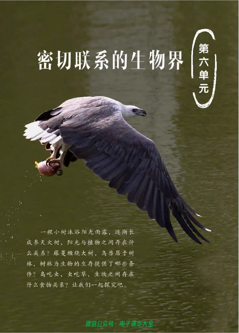 五制五上教材_电子课本_小学电子课本_05科学_青岛版（63、54版）_小学科学青岛五四制1-5上册