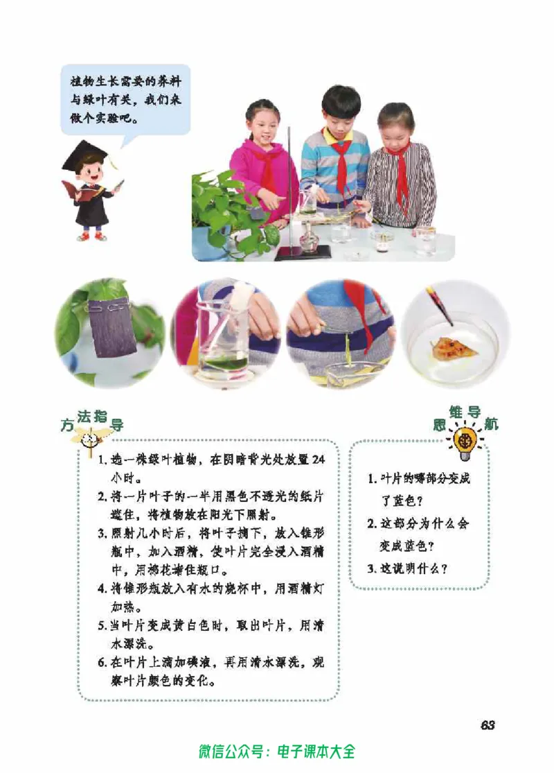 五制五上教材_电子课本_小学电子课本_05科学_青岛版（63、54版）_小学科学青岛五四制1-5上册