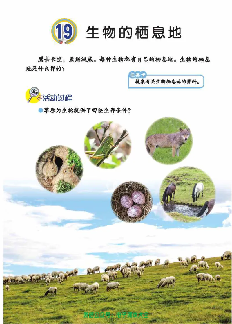 五制五上教材_电子课本_小学电子课本_05科学_青岛版（63、54版）_小学科学青岛五四制1-5上册