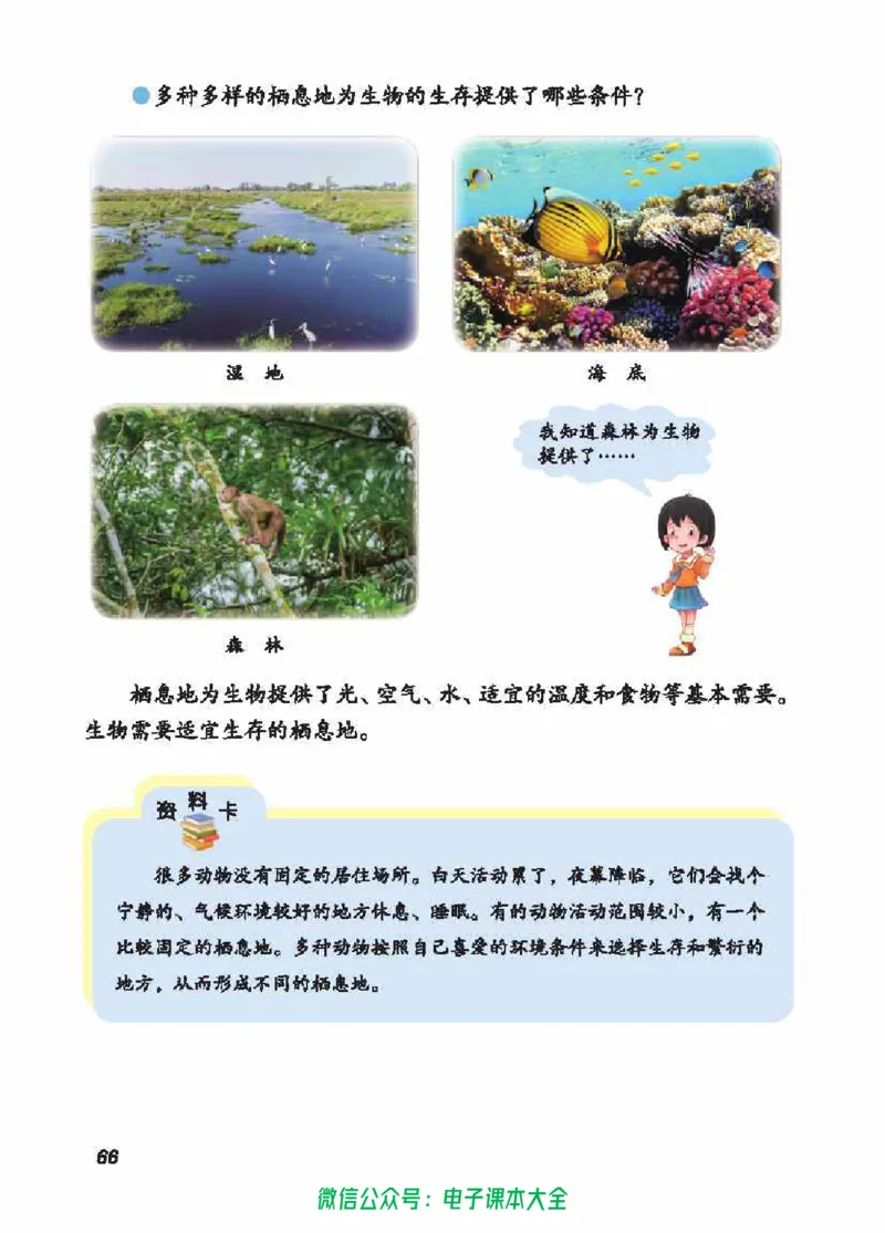 五制五上教材_电子课本_小学电子课本_05科学_青岛版（63、54版）_小学科学青岛五四制1-5上册