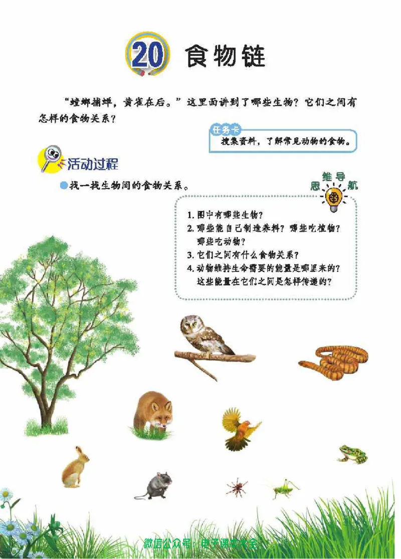 五制五上教材_电子课本_小学电子课本_05科学_青岛版（63、54版）_小学科学青岛五四制1-5上册