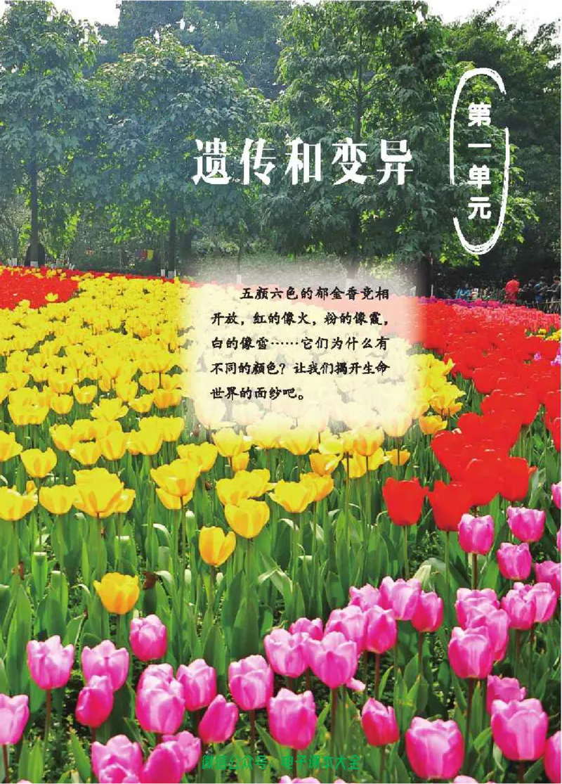 五制五上教材_电子课本_小学电子课本_05科学_青岛版（63、54版）_小学科学青岛五四制1-5上册