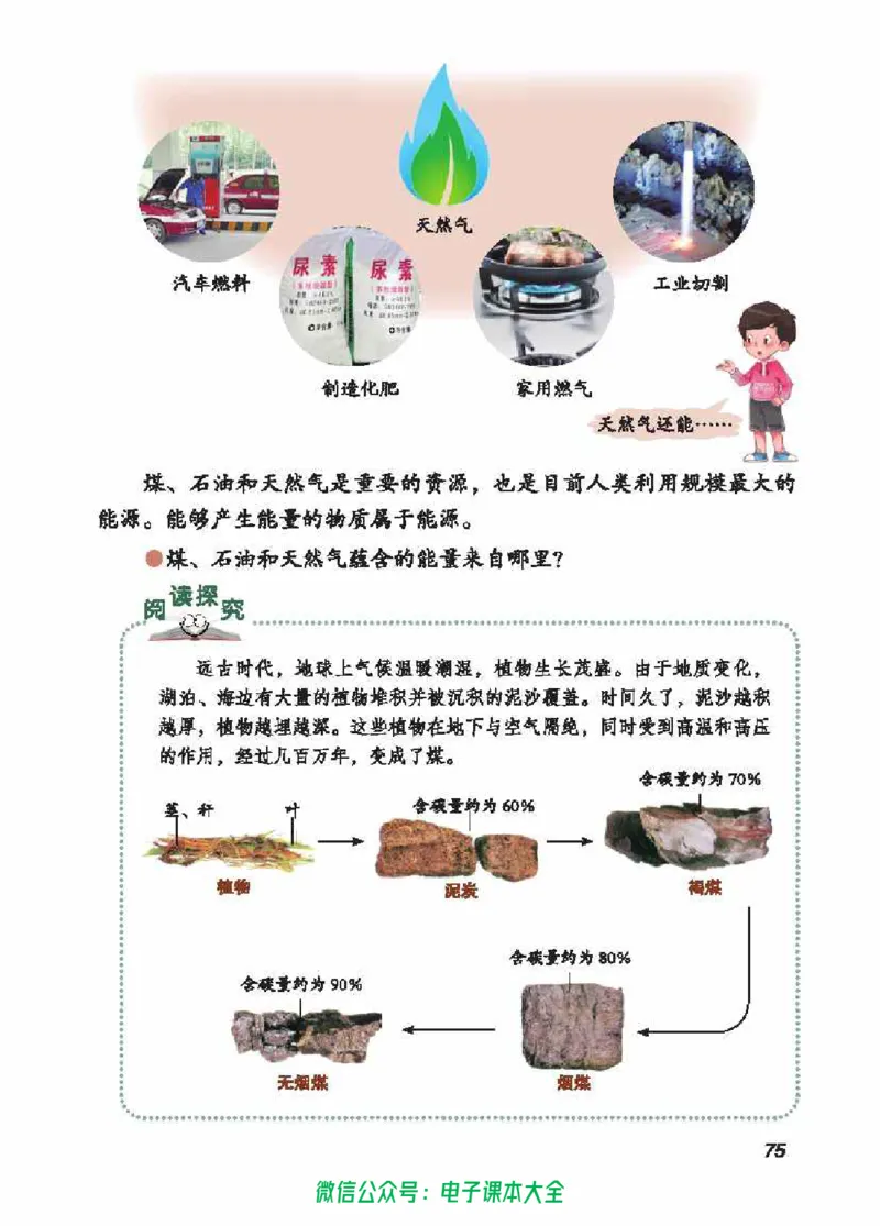五制五上教材_电子课本_小学电子课本_05科学_青岛版（63、54版）_小学科学青岛五四制1-5上册