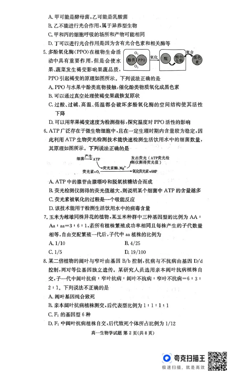 扫描件_生物学_2025年04月试卷_0422湖南省名校联考联合体2024-2025学年高一下学期期中考试_湖南省名校联考联合体2024-2025学年高一下学期期中考试生物试题扫描版含解析