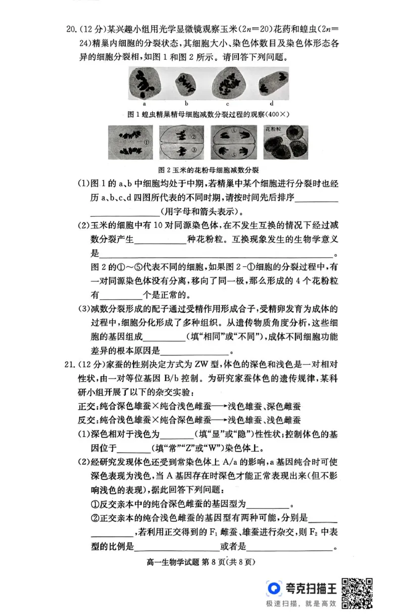 扫描件_生物学_2025年04月试卷_0422湖南省名校联考联合体2024-2025学年高一下学期期中考试_湖南省名校联考联合体2024-2025学年高一下学期期中考试生物试题扫描版含解析