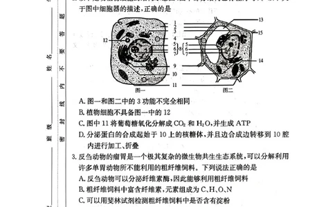 扫描件_生物学_2025年04月试卷_0422湖南省名校联考联合体2024-2025学年高一下学期期中考试_湖南省名校联考联合体2024-2025学年高一下学期期中考试生物试题扫描版含解析