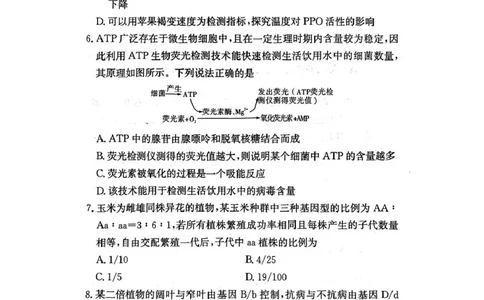 扫描件_生物学_2025年04月试卷_0422湖南省名校联考联合体2024-2025学年高一下学期期中考试_湖南省名校联考联合体2024-2025学年高一下学期期中考试生物试题扫描版含解析