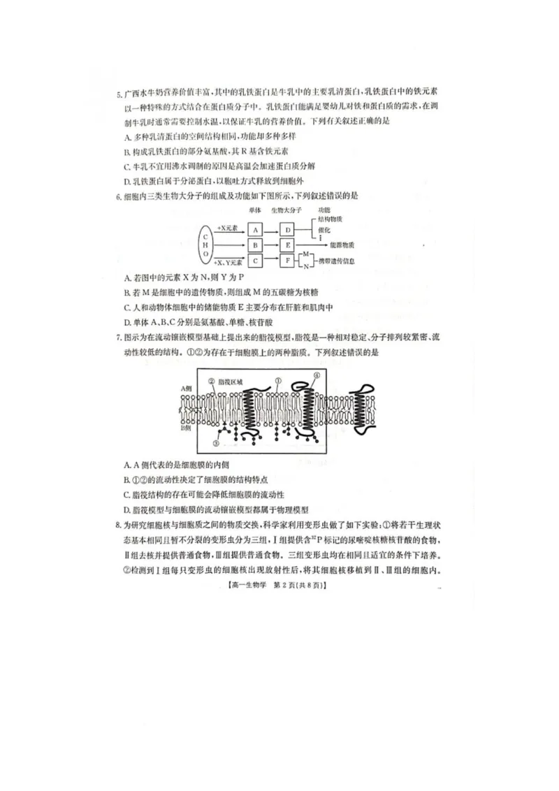广西壮族自治区柳州市2024-2025学年高一下学期2月开学检测生物试题_2025年03月试卷_0325广西壮族自治区柳州市2024-2025学年高一下学期开学检测试题