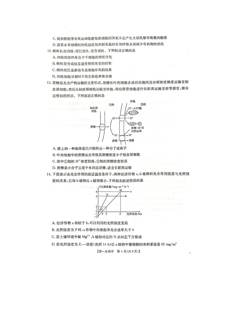 广西壮族自治区柳州市2024-2025学年高一下学期2月开学检测生物试题_2025年03月试卷_0325广西壮族自治区柳州市2024-2025学年高一下学期开学检测试题
