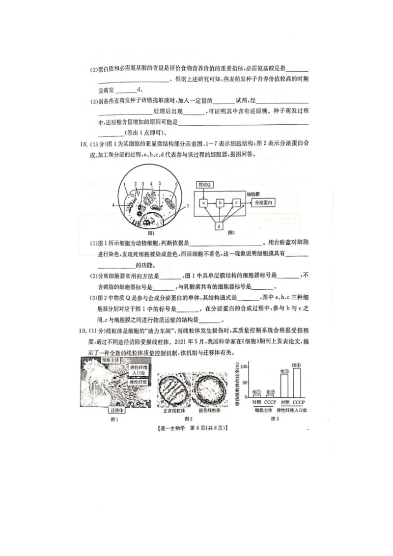广西壮族自治区柳州市2024-2025学年高一下学期2月开学检测生物试题_2025年03月试卷_0325广西壮族自治区柳州市2024-2025学年高一下学期开学检测试题