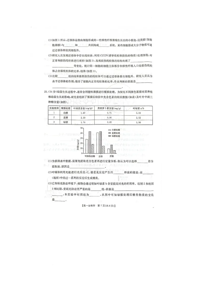 广西壮族自治区柳州市2024-2025学年高一下学期2月开学检测生物试题_2025年03月试卷_0325广西壮族自治区柳州市2024-2025学年高一下学期开学检测试题