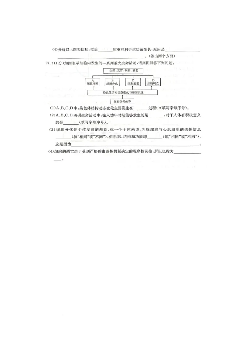 广西壮族自治区柳州市2024-2025学年高一下学期2月开学检测生物试题_2025年03月试卷_0325广西壮族自治区柳州市2024-2025学年高一下学期开学检测试题