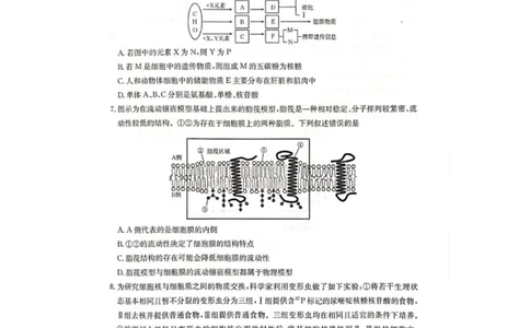 广西壮族自治区柳州市2024-2025学年高一下学期2月开学检测生物试题_2025年03月试卷_0325广西壮族自治区柳州市2024-2025学年高一下学期开学检测试题