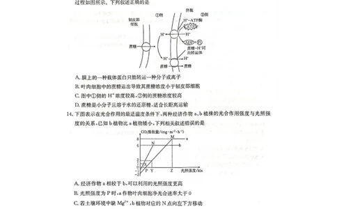 广西壮族自治区柳州市2024-2025学年高一下学期2月开学检测生物试题_2025年03月试卷_0325广西壮族自治区柳州市2024-2025学年高一下学期开学检测试题