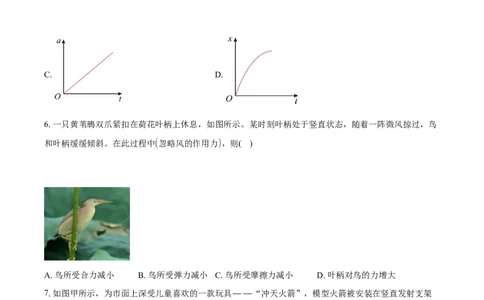 德阳市2025-2026学年高一上学期期末考试物理试卷（含答案）_2026年02月高一试卷_260207四川省德阳市2025&mdash;2026学年高一上学期期末考试