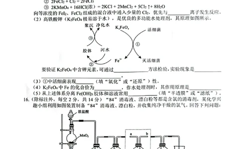 广西示高2025年秋季期中高一联考化学试卷_2025年11月高一试卷_251127广西示范性高中2025-2026学年高一上学期期中联合调研测试（全）