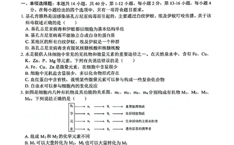 广西2025级&ldquo;贵百河&rdquo;12月高一年级新高考月考测试生物广西2025级&ldquo;贵百河&rdquo;12月高一年级新高考月考测试生物_2026年01月高一试卷