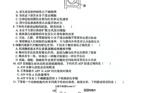 广西2025级&ldquo;贵百河&rdquo;12月高一年级新高考月考测试生物广西2025级&ldquo;贵百河&rdquo;12月高一年级新高考月考测试生物_2026年01月高一试卷