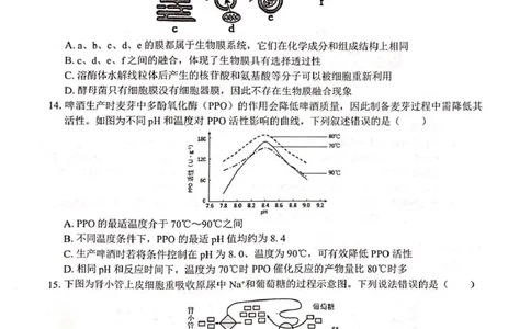 广西2025级&ldquo;贵百河&rdquo;12月高一年级新高考月考测试生物广西2025级&ldquo;贵百河&rdquo;12月高一年级新高考月考测试生物_2026年01月高一试卷