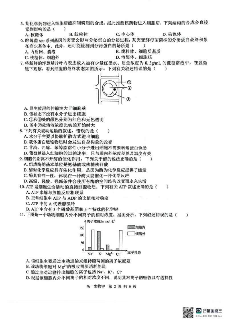广西2025级&ldquo;贵百河&rdquo;12月高一年级新高考月考测试生物广西2025级&ldquo;贵百河&rdquo;12月高一年级新高考月考测试生物_2026年01月高一试卷