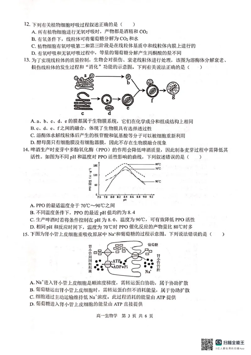 广西2025级&ldquo;贵百河&rdquo;12月高一年级新高考月考测试生物广西2025级&ldquo;贵百河&rdquo;12月高一年级新高考月考测试生物_2026年01月高一试卷