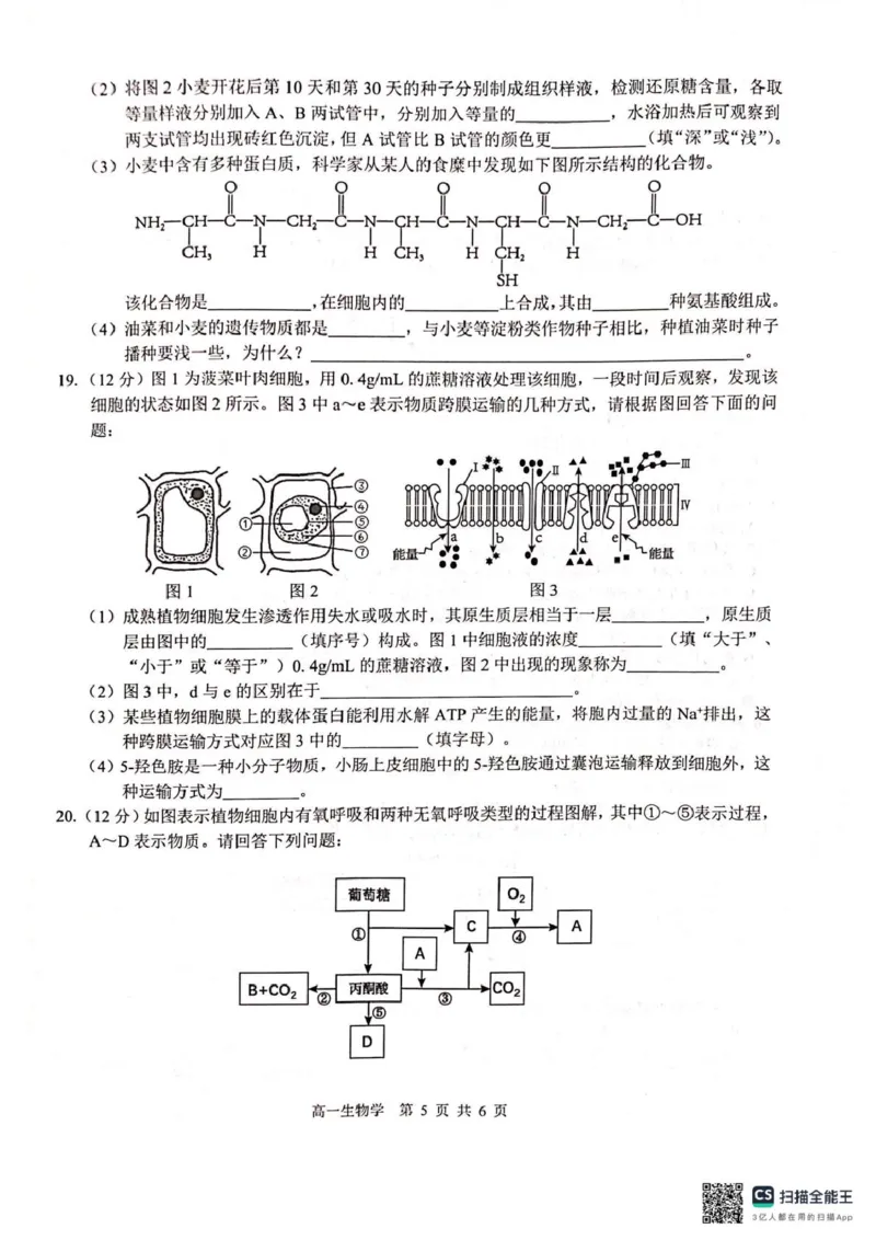 广西2025级&ldquo;贵百河&rdquo;12月高一年级新高考月考测试生物广西2025级&ldquo;贵百河&rdquo;12月高一年级新高考月考测试生物_2026年01月高一试卷