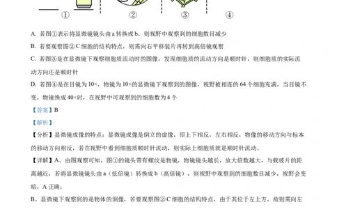 广东省茂名市化州市2024-2025学年高一上学期11月期中生物试题Word版含解析_2024年12月试卷_1214广东省茂名市化州市2024-2025学年高一上学期11月期中考试