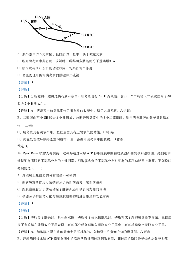 广东省茂名市化州市2024-2025学年高一上学期11月期中生物试题Word版含解析_2024年12月试卷_1214广东省茂名市化州市2024-2025学年高一上学期11月期中考试