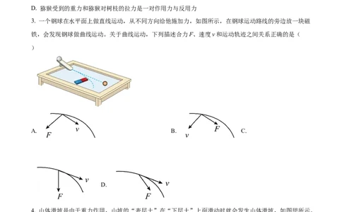 广西百色市普通高中2024-2025学年高一上学期期末教学质量调研物理试题Word版无答案_2025年03月试卷_0319广西壮族自治区百色市2024-2025学年高一上学期1月期末考试
