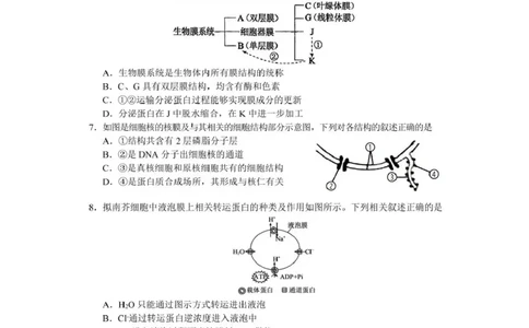 攀枝花市2025-2026学年度高一（上）教学质量监测样卷生物_2026年02月高一试卷_260203四川省攀枝花市2025-2026学年度高一（上）教学质量监测样卷