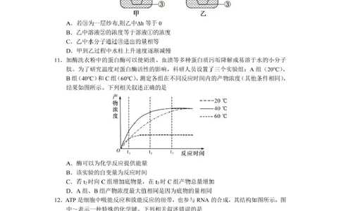 攀枝花市2025-2026学年度高一（上）教学质量监测样卷生物_2026年02月高一试卷_260203四川省攀枝花市2025-2026学年度高一（上）教学质量监测样卷
