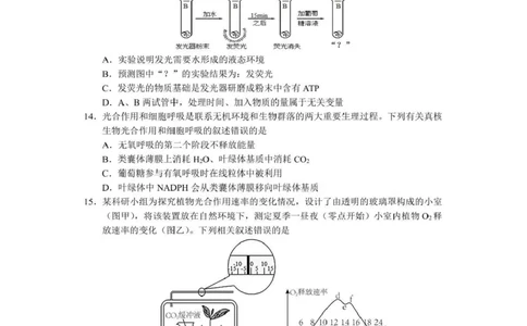 攀枝花市2025-2026学年度高一（上）教学质量监测样卷生物_2026年02月高一试卷_260203四川省攀枝花市2025-2026学年度高一（上）教学质量监测样卷