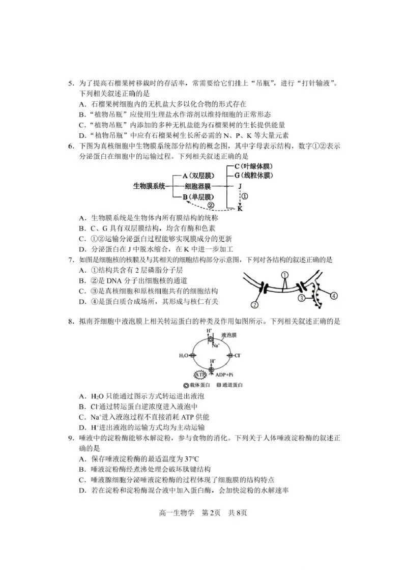 攀枝花市2025-2026学年度高一（上）教学质量监测样卷生物_2026年02月高一试卷_260203四川省攀枝花市2025-2026学年度高一（上）教学质量监测样卷