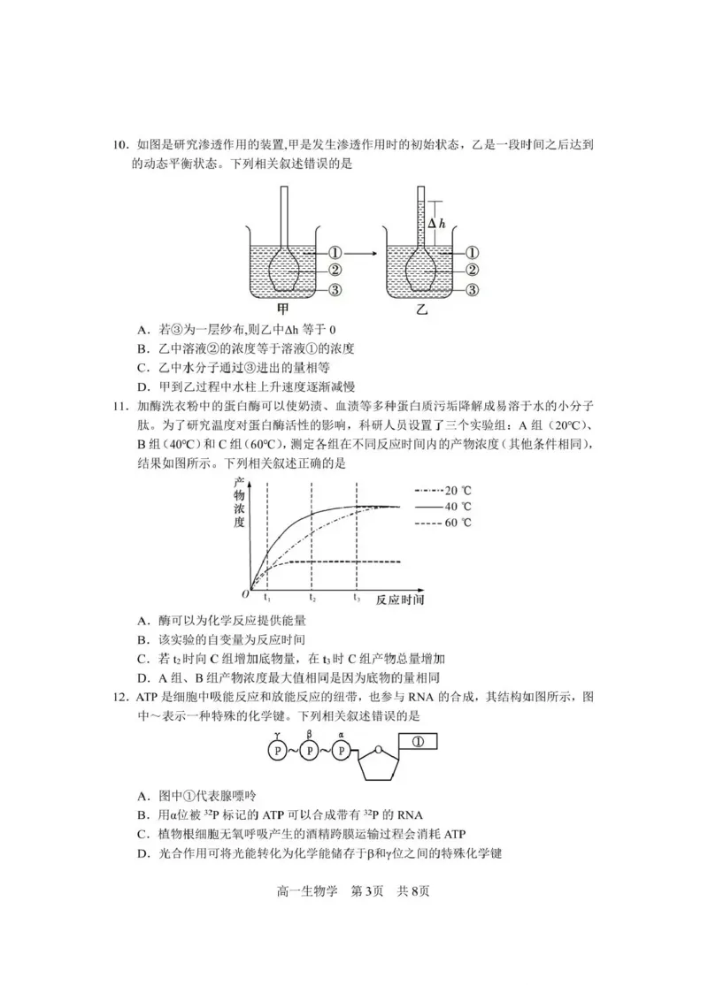 攀枝花市2025-2026学年度高一（上）教学质量监测样卷生物_2026年02月高一试卷_260203四川省攀枝花市2025-2026学年度高一（上）教学质量监测样卷