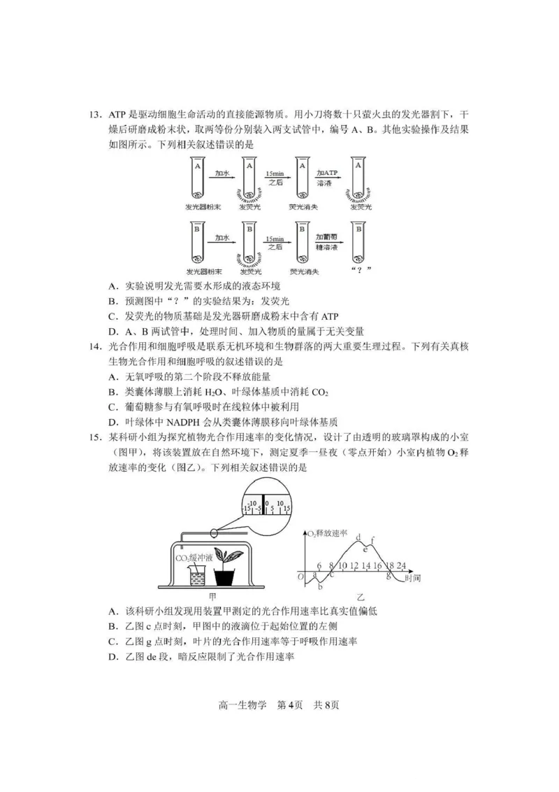 攀枝花市2025-2026学年度高一（上）教学质量监测样卷生物_2026年02月高一试卷_260203四川省攀枝花市2025-2026学年度高一（上）教学质量监测样卷
