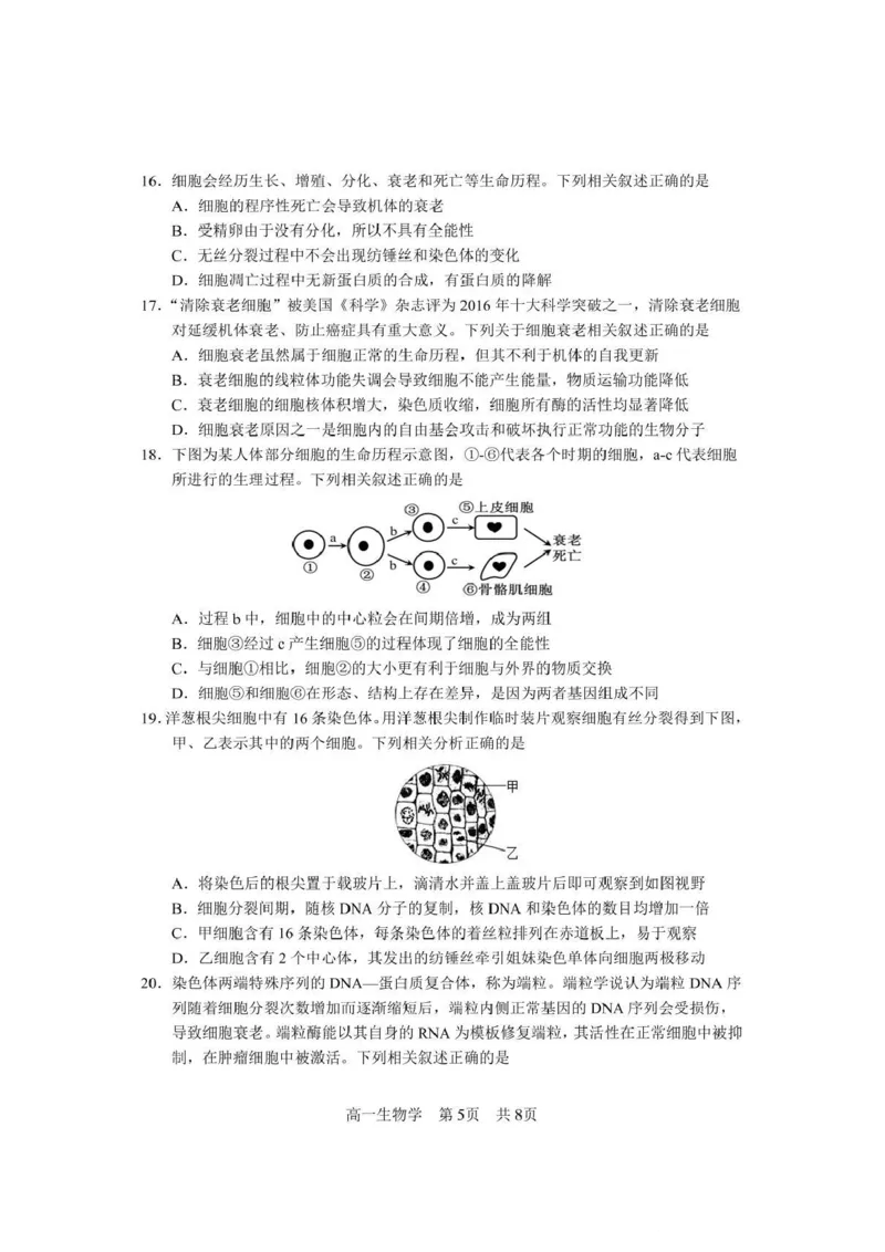 攀枝花市2025-2026学年度高一（上）教学质量监测样卷生物_2026年02月高一试卷_260203四川省攀枝花市2025-2026学年度高一（上）教学质量监测样卷