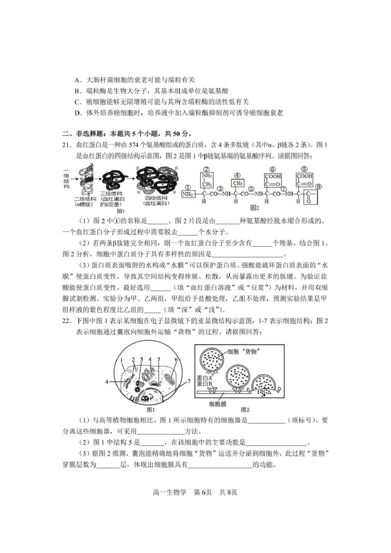 攀枝花市2025-2026学年度高一（上）教学质量监测样卷生物_2026年02月高一试卷_260203四川省攀枝花市2025-2026学年度高一（上）教学质量监测样卷