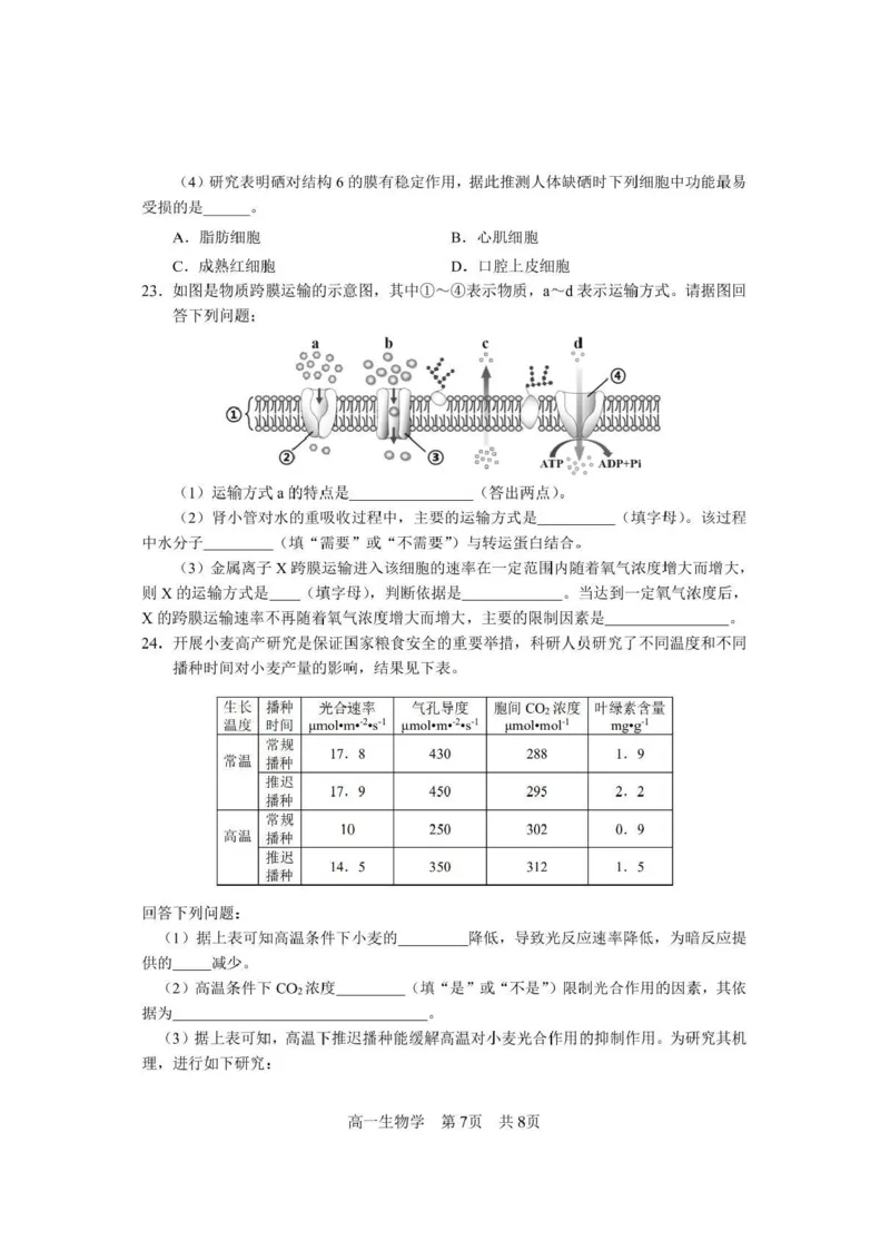 攀枝花市2025-2026学年度高一（上）教学质量监测样卷生物_2026年02月高一试卷_260203四川省攀枝花市2025-2026学年度高一（上）教学质量监测样卷