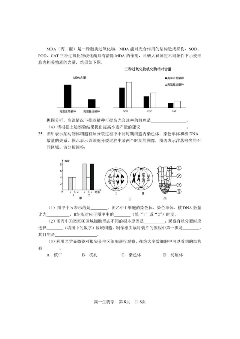 攀枝花市2025-2026学年度高一（上）教学质量监测样卷生物_2026年02月高一试卷_260203四川省攀枝花市2025-2026学年度高一（上）教学质量监测样卷