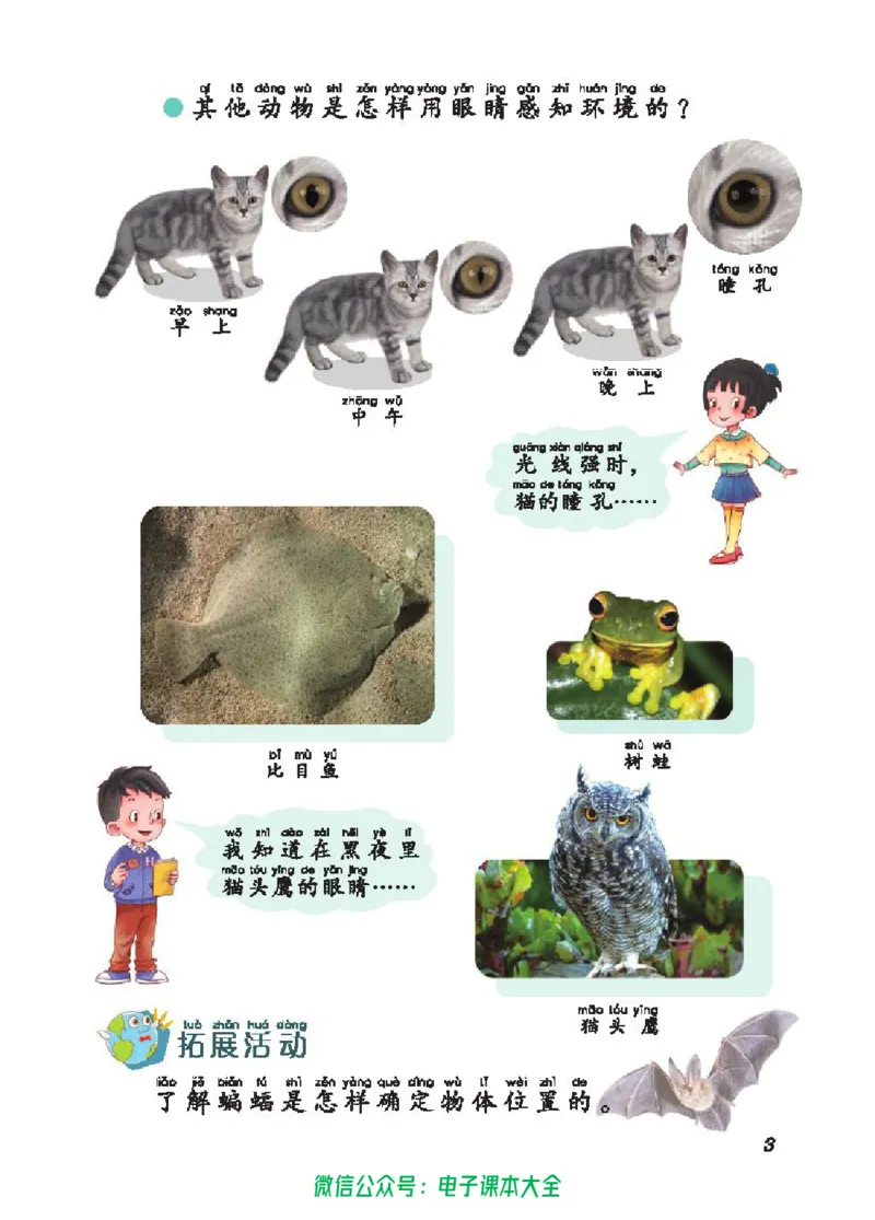 五制二上教材_电子课本_小学电子课本_05科学_青岛版（63、54版）_小学科学青岛五四制1-5上册
