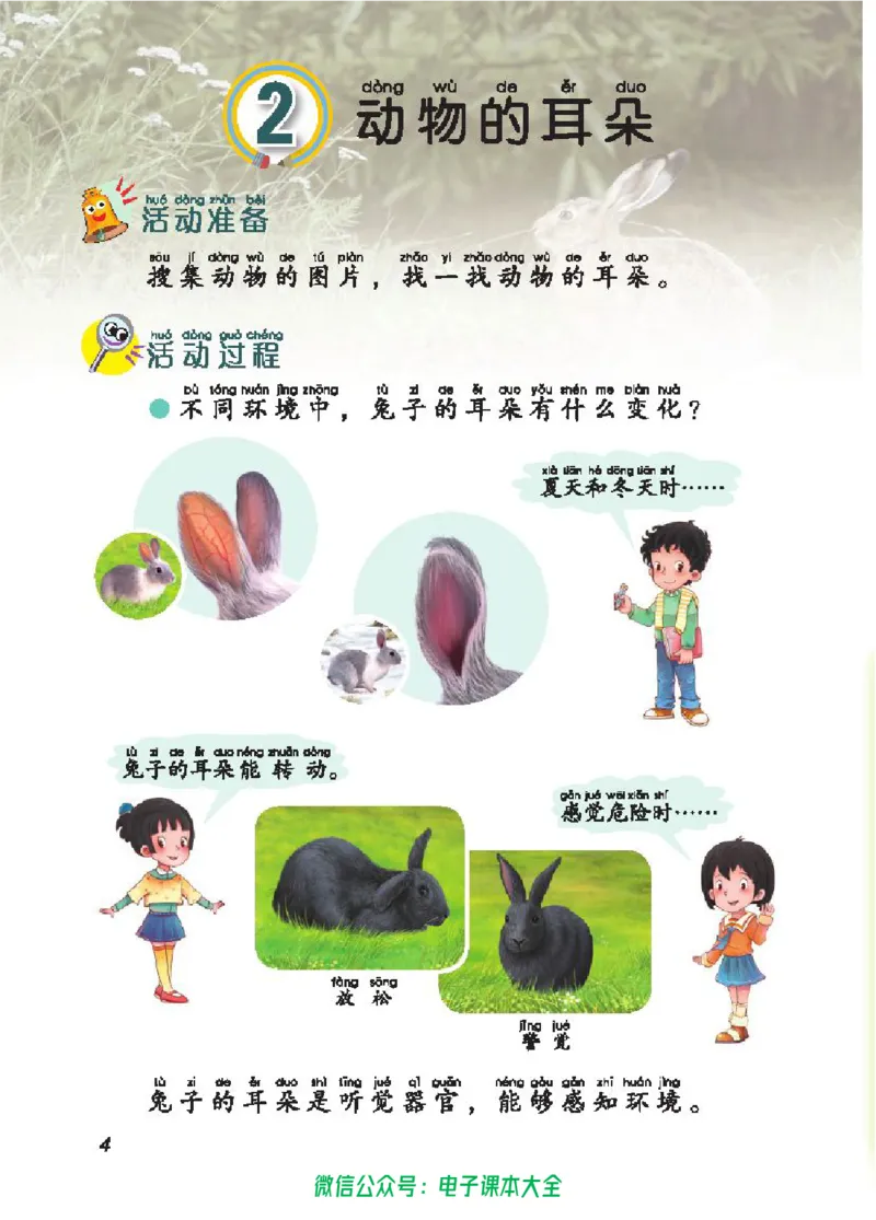 五制二上教材_电子课本_小学电子课本_05科学_青岛版（63、54版）_小学科学青岛五四制1-5上册