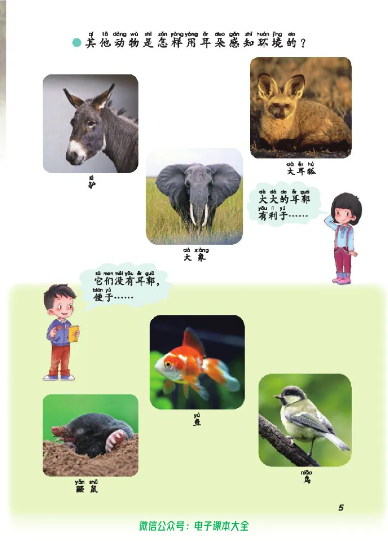 五制二上教材_电子课本_小学电子课本_05科学_青岛版（63、54版）_小学科学青岛五四制1-5上册