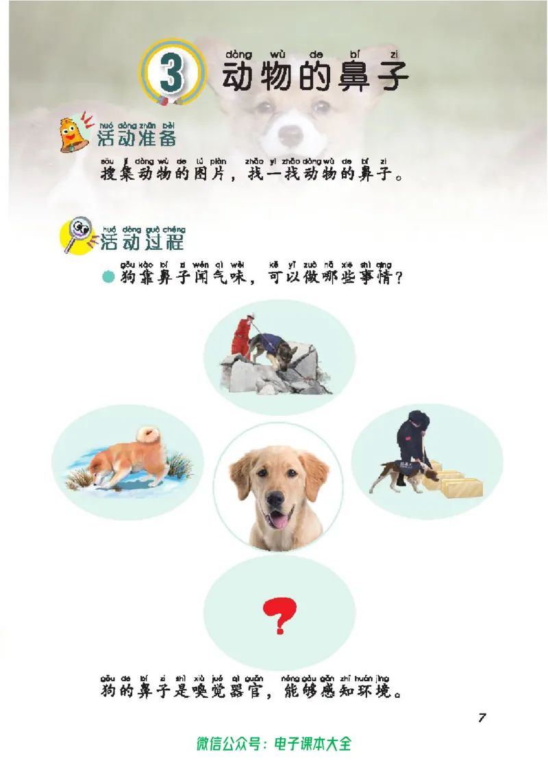 五制二上教材_电子课本_小学电子课本_05科学_青岛版（63、54版）_小学科学青岛五四制1-5上册