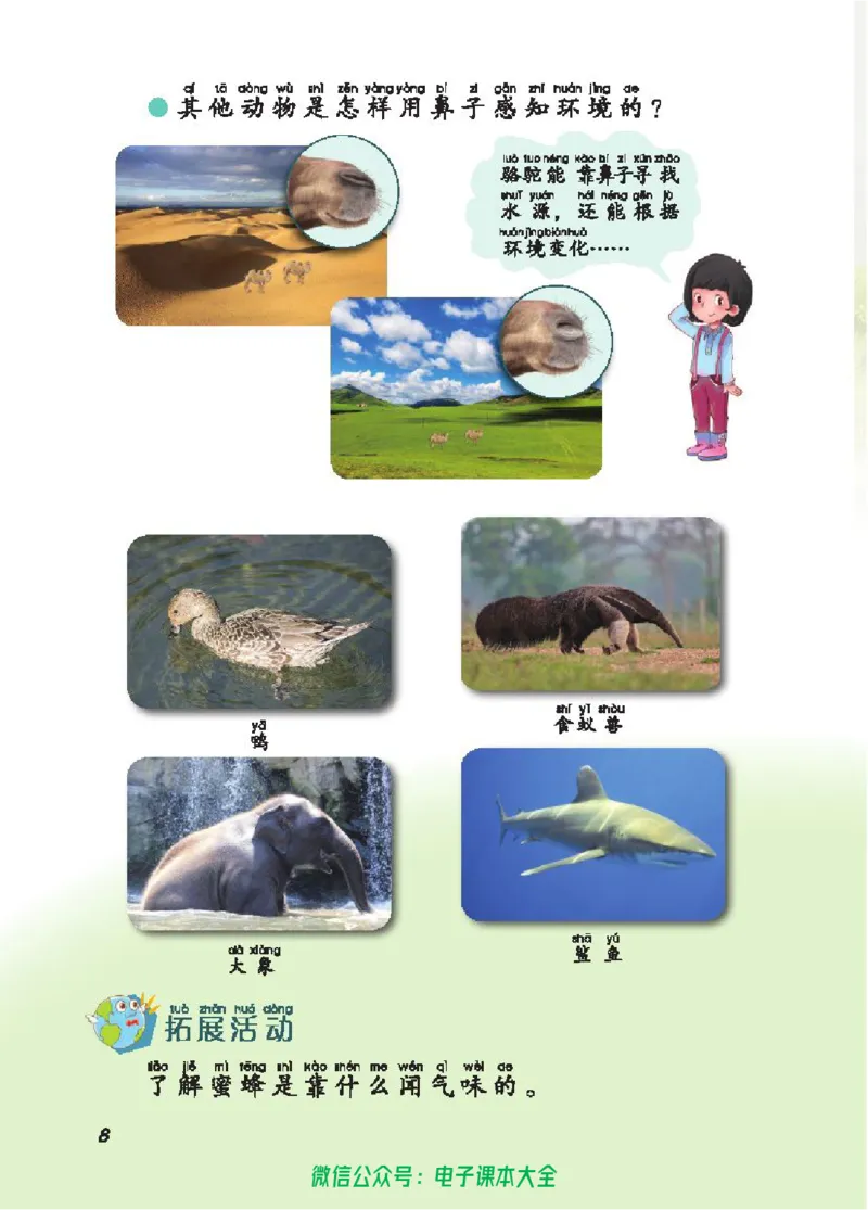 五制二上教材_电子课本_小学电子课本_05科学_青岛版（63、54版）_小学科学青岛五四制1-5上册