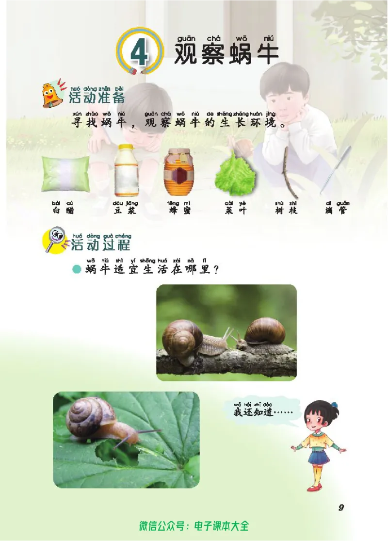 五制二上教材_电子课本_小学电子课本_05科学_青岛版（63、54版）_小学科学青岛五四制1-5上册