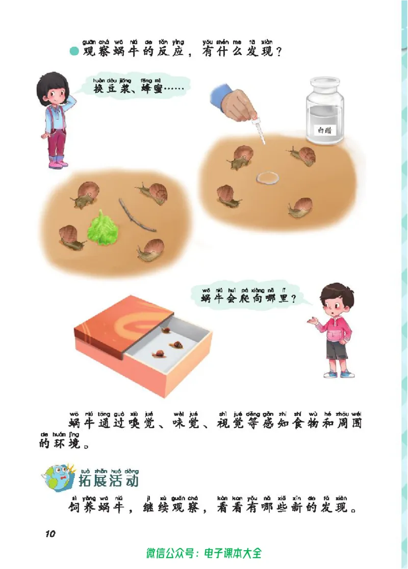 五制二上教材_电子课本_小学电子课本_05科学_青岛版（63、54版）_小学科学青岛五四制1-5上册