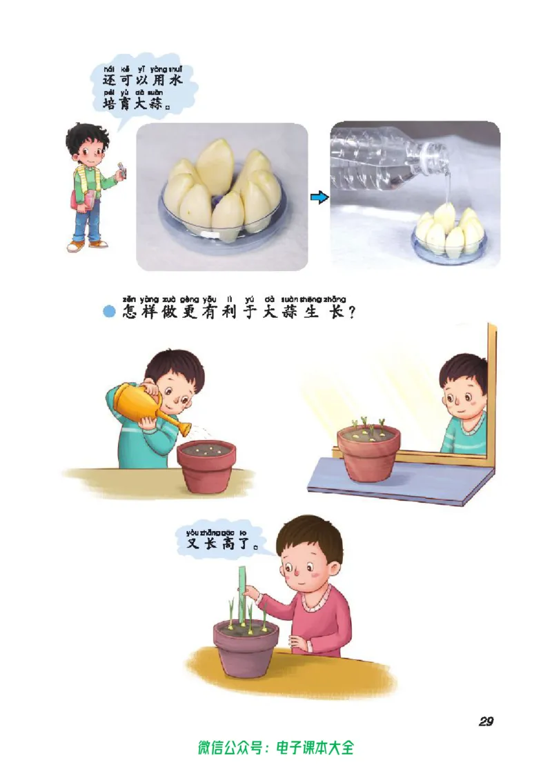 五制二上教材_电子课本_小学电子课本_05科学_青岛版（63、54版）_小学科学青岛五四制1-5上册