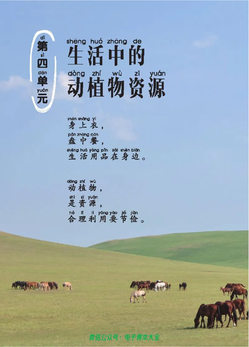 五制二上教材_电子课本_小学电子课本_05科学_青岛版（63、54版）_小学科学青岛五四制1-5上册